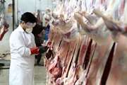افزایش 110 درصدی تولید گوشت قرمز تازه در اسفند ماه 1399  در شهرستان گرمه