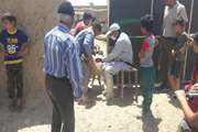 واکسیناسیون دام سبک علیه بیماری طاعون نشخوارکنندگان کوچک در دامپزشکی اسفراین 