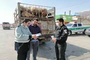 برگزاری گشت مشترک جاده ای در شهرستان مانه و سملقان 