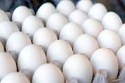 نظارت بهداشتی بر عرضه حدود 204 تن تخم مرغ خوراکی در شهرستان اسفراین