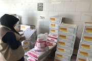 کشف و ضبط 900 بسته داروی خارج از شبکه توزیع از یکی از داروخانه های دامپزشکی شهرستان مانه و سملقان 