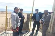 برگزاری گشت مشترک دامپزشکی گرمه با دادستان شهرستان 