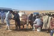در سه ماهه نخست سال جاری 15 منطقه روستایی عشایری محروم و کم برخوردار خراسان شمالی در قالب اردوهای جهادی از خدمات دامپزشکی بهره‌مند شدند
