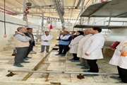 اجرای طرح ساماندهی کشتارگاه های دام سنتی و صنعتی در خراسان شمالی