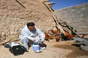 پوشش ۸۰ درصدی ایمن‌سازی طیور روستایی خراسان شمالی در برابر نیوکاسل در سال 1404