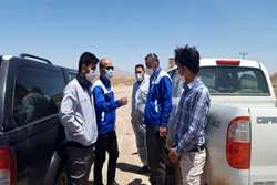 حضور معاون سلامت دامپزشکی خراسان شمالی در روستاهای زلزله زده