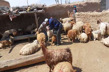 بازدید و خدمات رسانی به مناطق محروم شهرستان گرمه در خراسان شمالی