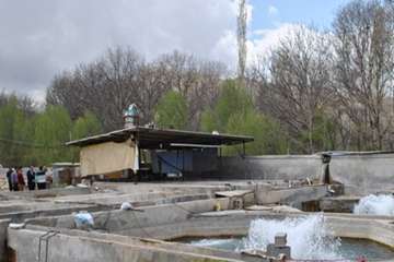بازدید از مزارع پرورش آبزیان در روستای گلیان شیروان