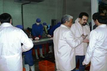 بازدید رؤسای ستادی اداره کل از کشتارگاه طیور شیروان