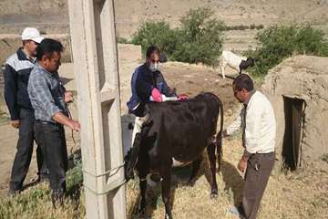 استفاده از سم فلومترین پور-آن در واحدهای محدوده قرنطینه