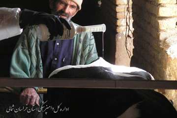 مبارزه با انگلهاي خارجي در خراسان شمالي
