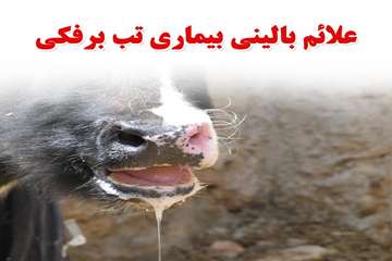 طرح پايش تب برفكي ((خراسان شمالي))