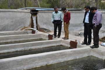 بازدید از مزارع پرورش آبزیان در روستای گلیان شیروان