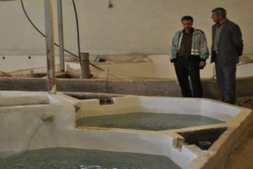 بازدید از مزارع پرورش آبزیان در روستای گلیان شیروان