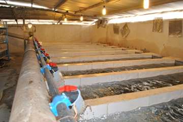 بازدید از مزارع پرورش آبزیان در روستای گلیان شیروان