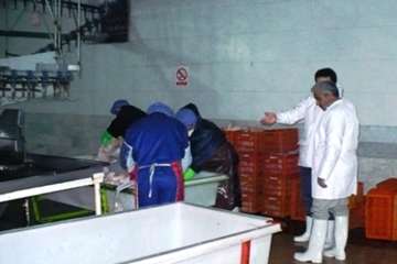 بازدید رؤسای ستادی اداره کل از کشتارگاه طیور شیروان