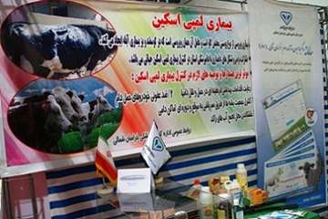 حضور دامپزشکی استان در هفتمین نمایشگاه کشاورزی، دام و طیور