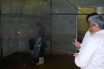 بازدید رؤسای ستادی اداره کل از کشتارگاه طیور شیروان