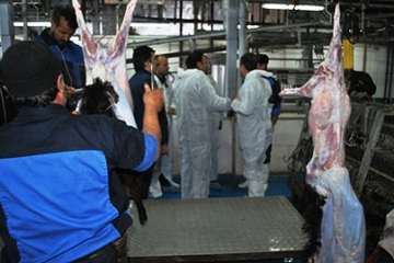 بازدید مشترک مدیرکل دامپزشکی و شهردار بجنورد از کشتارگاه دام