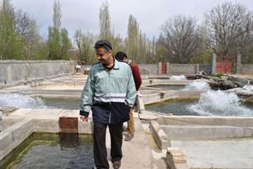 بازدید از مزارع پرورش آبزیان در روستای گلیان شیروان