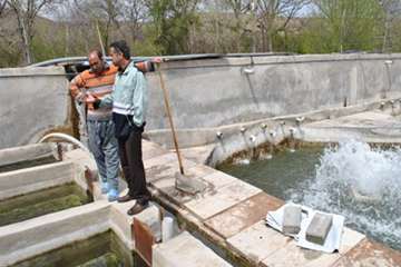 بازدید از مزارع پرورش آبزیان در روستای گلیان شیروان