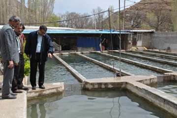 بازدید از مزارع پرورش آبزیان در روستای گلیان شیروان