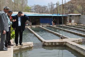 بازدید از مزارع پرورش آبزیان در روستای گلیان شیروان