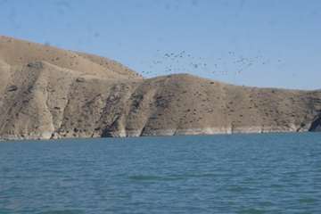 پایش زیستگاه های پرندگان در طرح مراقبت آنفلوانزای فوق حاد