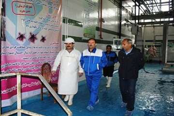 بازدید سرزده مدیرکل دامپزشکی خراسان شمالی از کشتارگاه صنعتی بجنورد