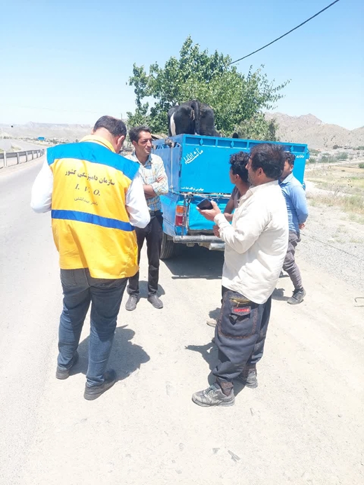 برگزاری گشت مشترک جاده ای دامپزشکی راز و جرگلان با همکاری نیروی انتظامی در محور تنگه ترکمن- بجنورد، با هدف نظارت بر حمل دام زنده، طیور و فرآورده های خام دامی، در راستای پیشگیری از شیوع بیماری های دامی و امنیت غذایی