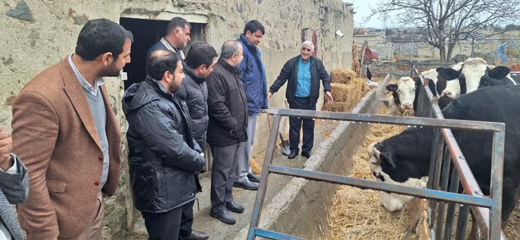 بازدید میدانی و دهگردشی فرماندار و رئیس شبکه دامپزشکی راز و جرگلان از بخش غلامان شهرستان 