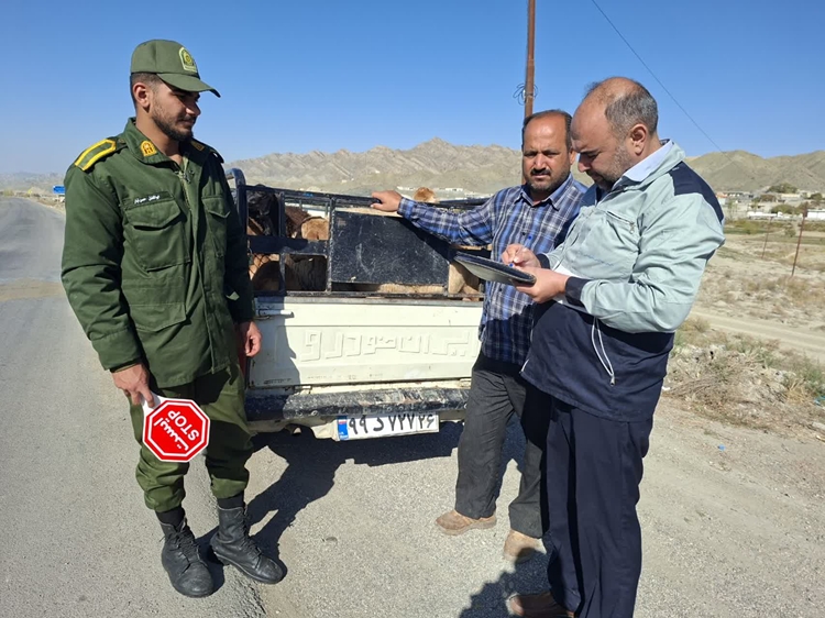 برگزاری گشت مشترک قرنطینه ای جاده ای در راستای طرح تشدید کنترل بیماری تب برفکی شهرستان راز و جرگلان