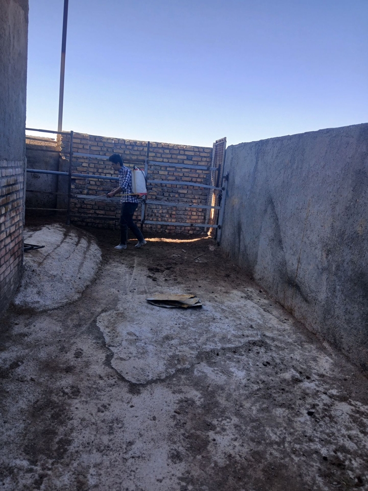 ضد عفونی کشتارگاه صنعتی دام شهرستان اسفراین توسط دامپزشکی شهرستان