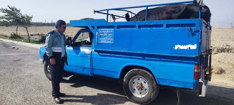 توقیف دو دستگاه خودرو حمل شیر خام فاقد مجوز در طی انجام گشت مشترک جاده ای در شهرستان اسفراین