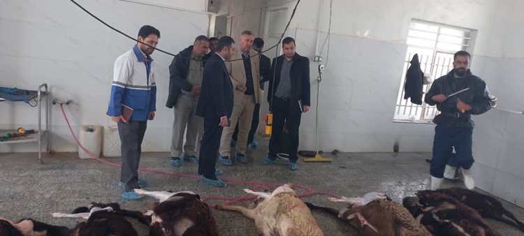بازدید فرماندار و دادستان گرمه از کشتارگاه دام شهرستان 